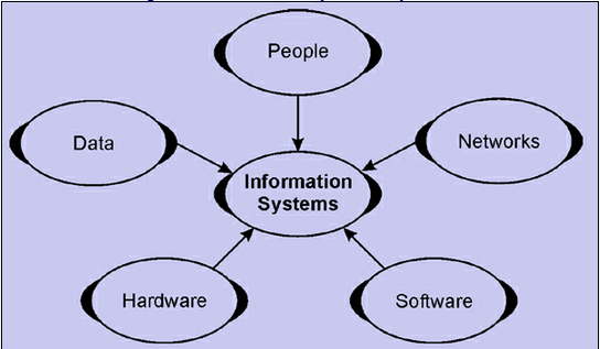 components-of-information-system-assignment-help-fundamentals-of